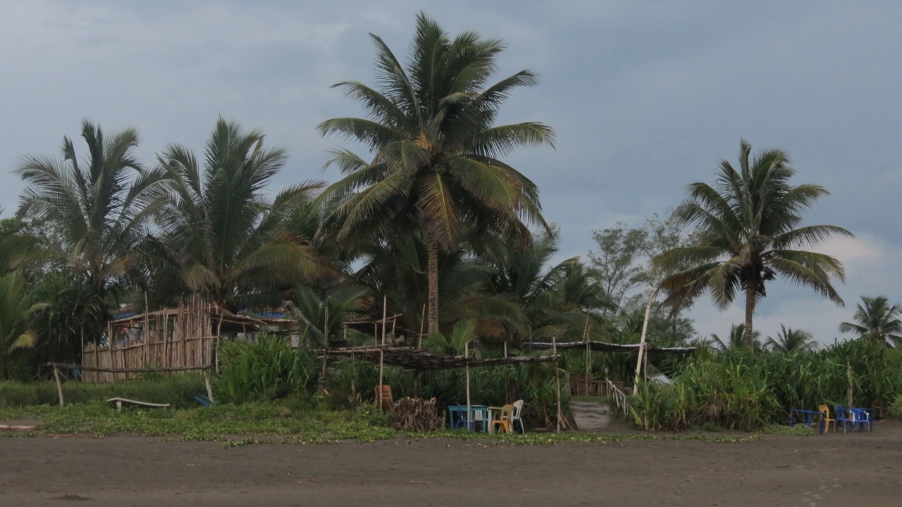 Photo of Others in Tecolutla