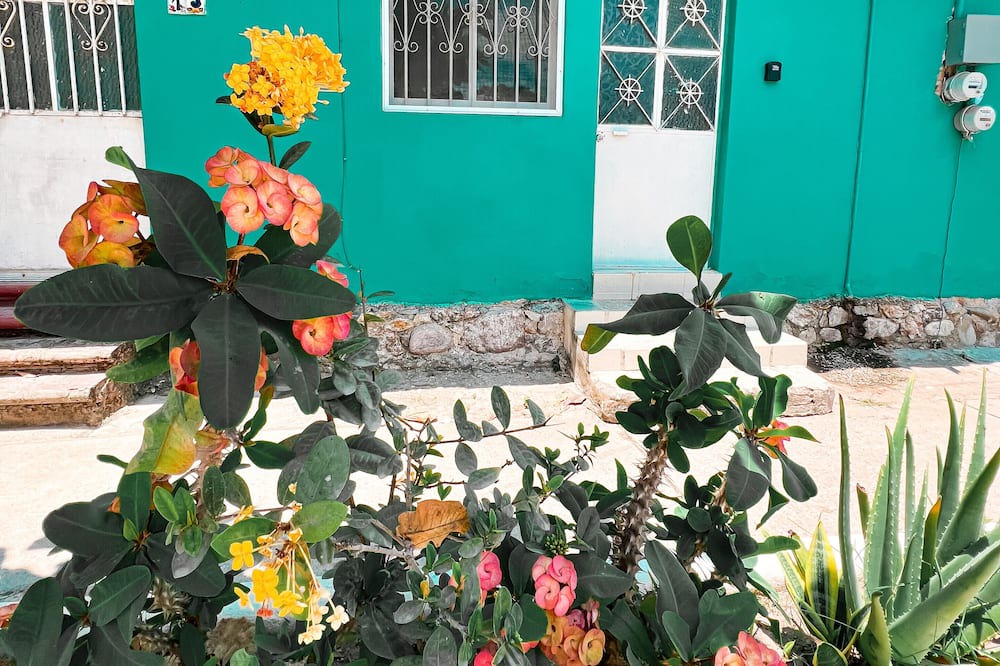 Photo of Outdoor in Lo de Marcos