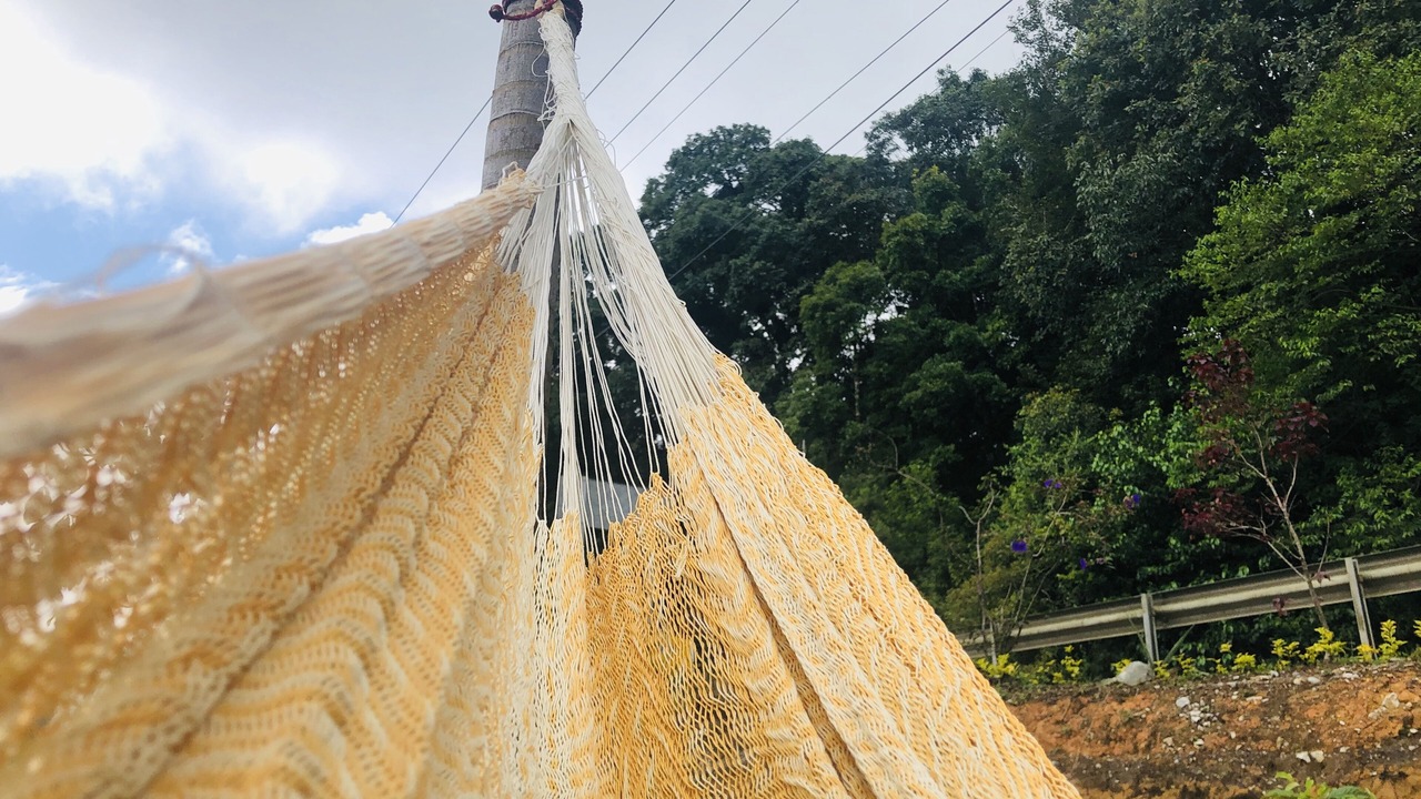 Photo of Outdoor in Xicotepec