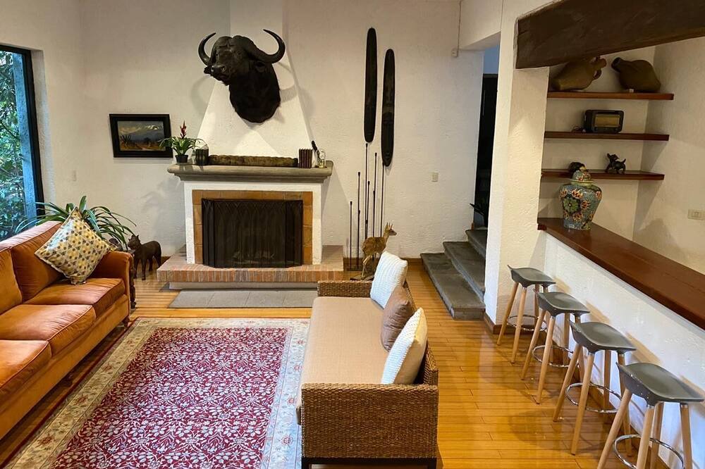 Photo of Livingroom in Puebla