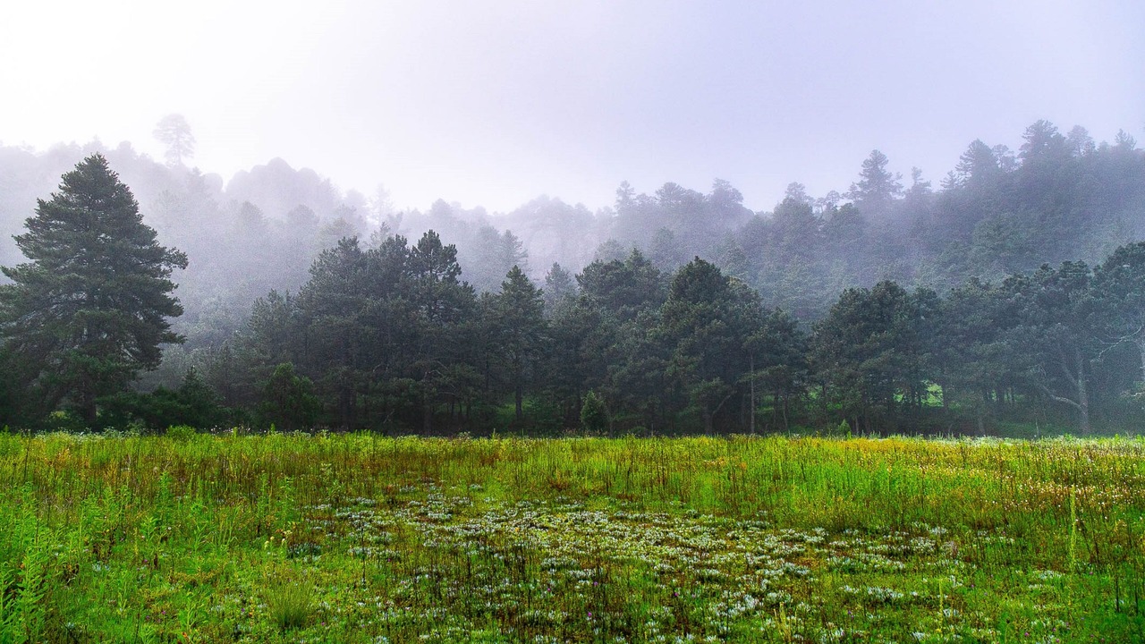 Photo of Outdoor in Creel