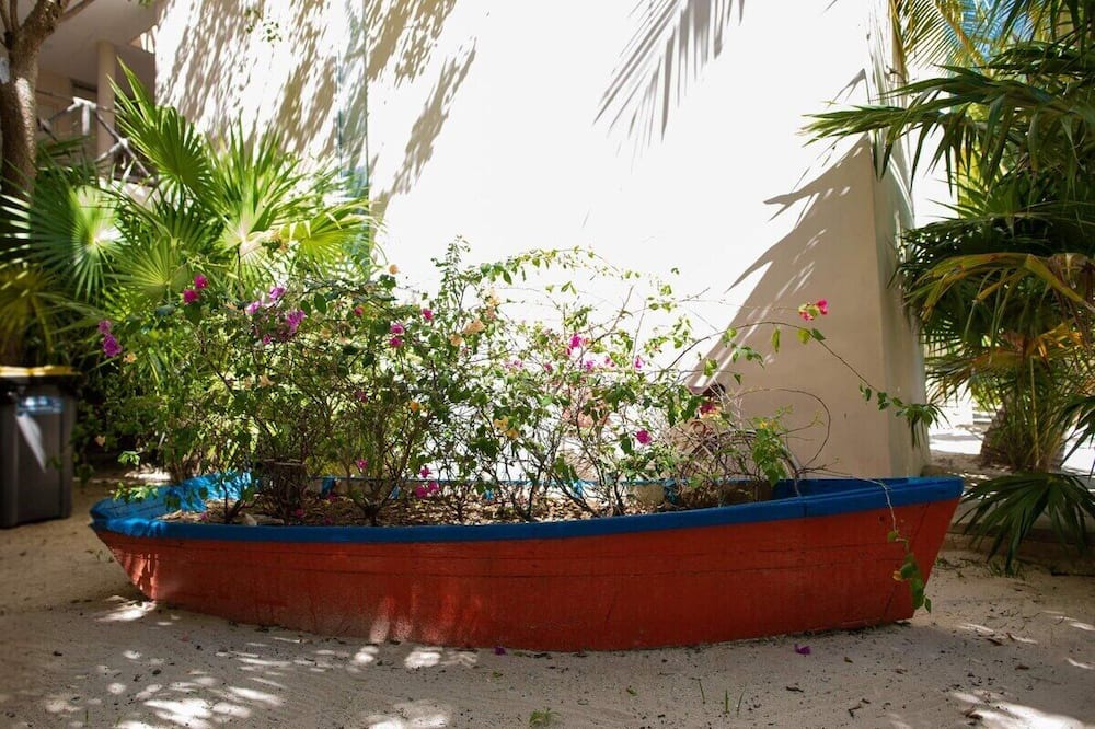 Photo of Outdoor in Progreso Municipality