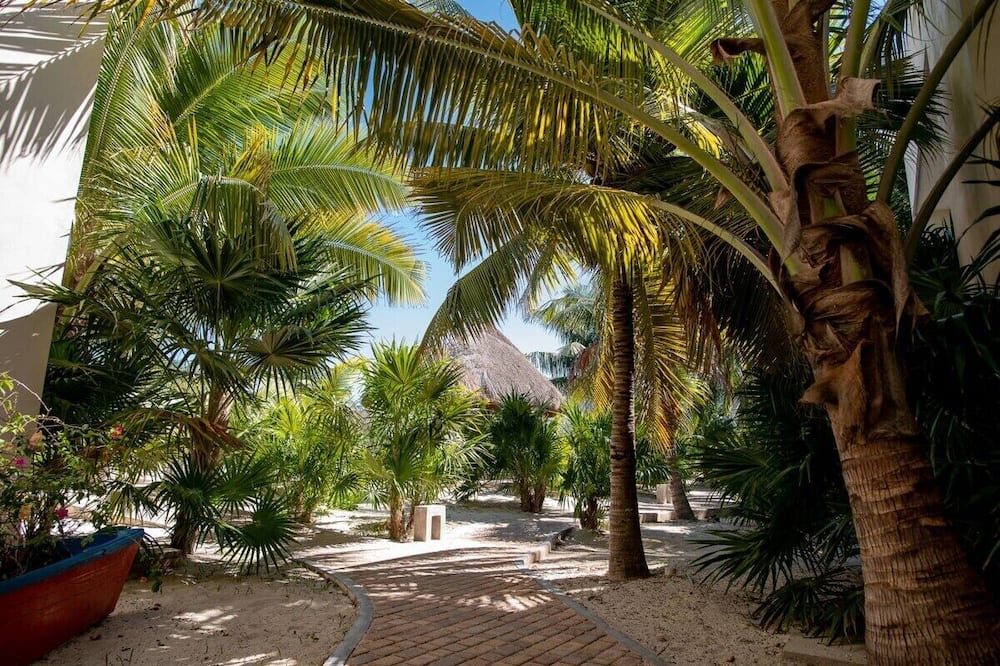 Photo of Outdoor in Progreso Municipality