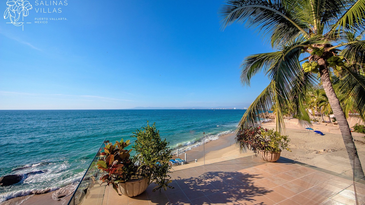 Photo of Others in Puerto Vallarta
