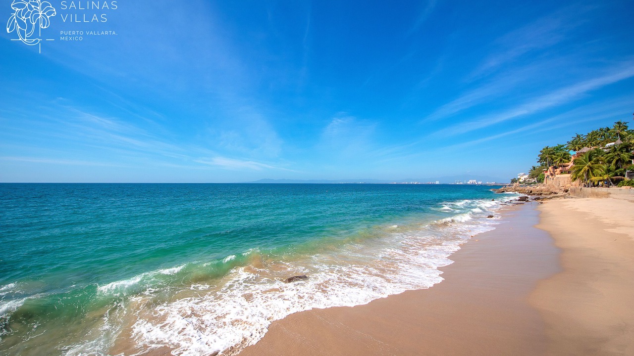 Photo of Others in Puerto Vallarta