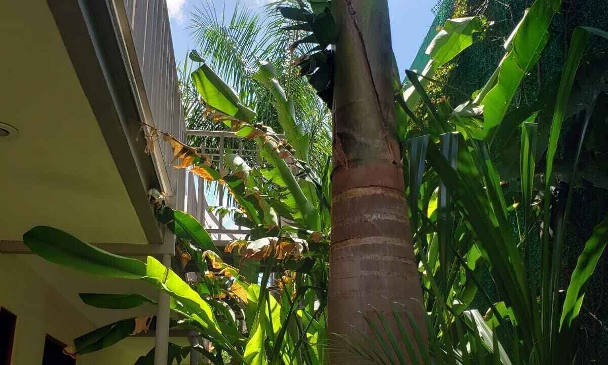 Photo of Outdoor in Zona Paseo Montejo