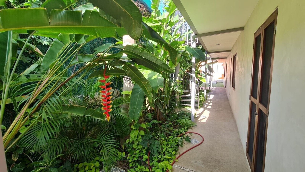 Photo of Outdoor in Zona Paseo Montejo