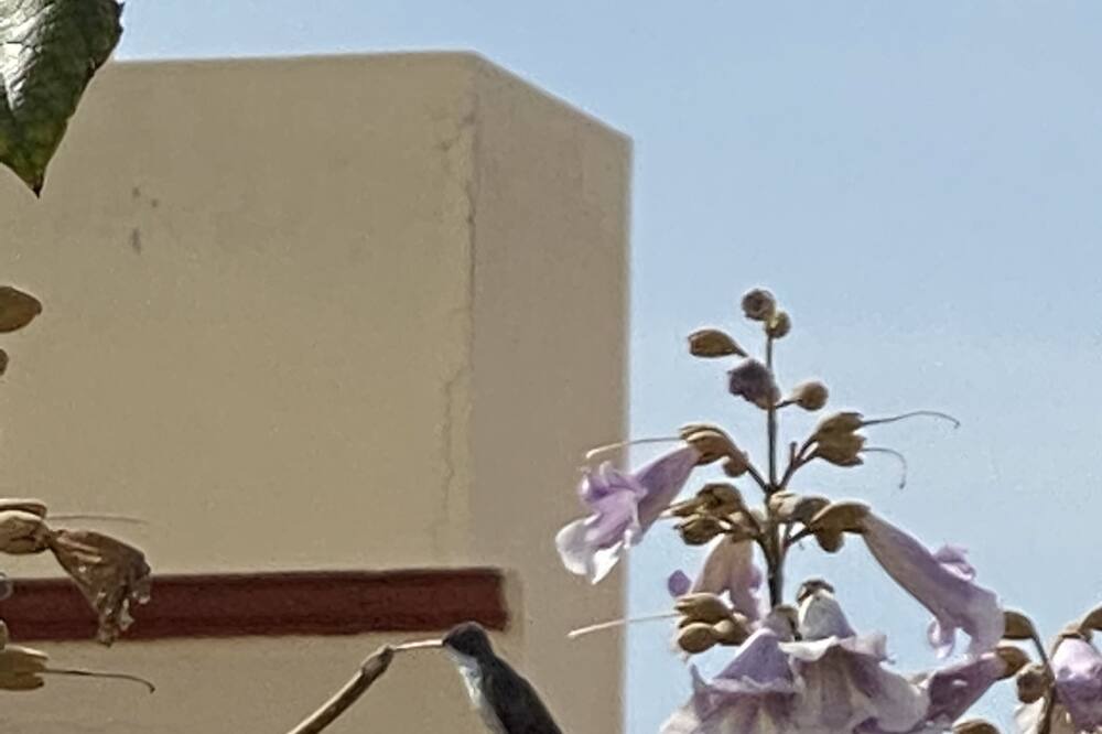 Photo of Others in Queretaro