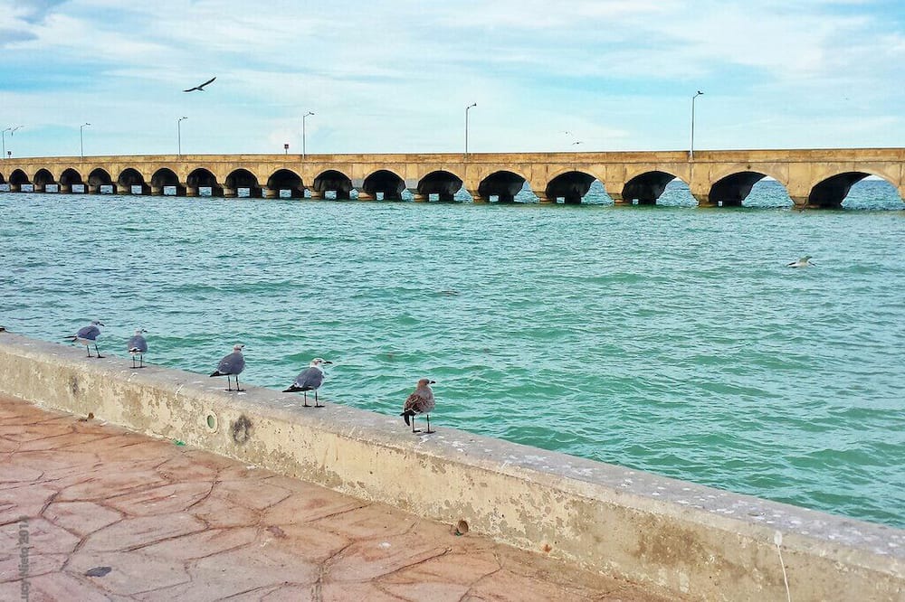 Photo of Others in Progreso Municipality
