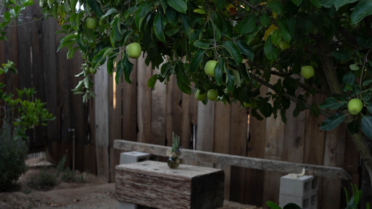 Photo of Outdoor in Valle de Guadalupe