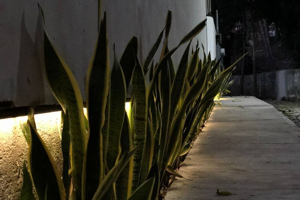 Photo of Outdoor in Los Ayala