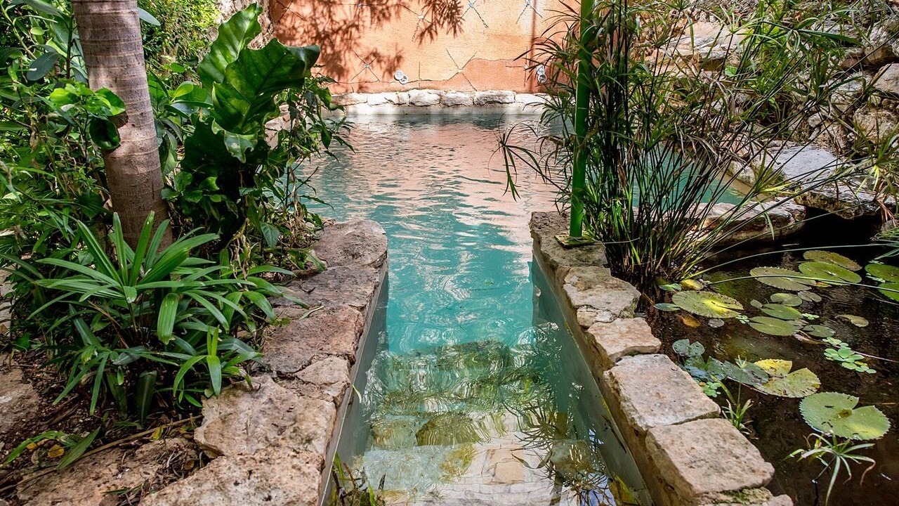 Photo of Outdoor in Barrio de Santiago