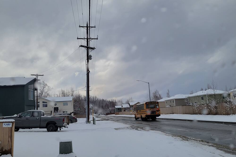 Photo of Others in Palmer