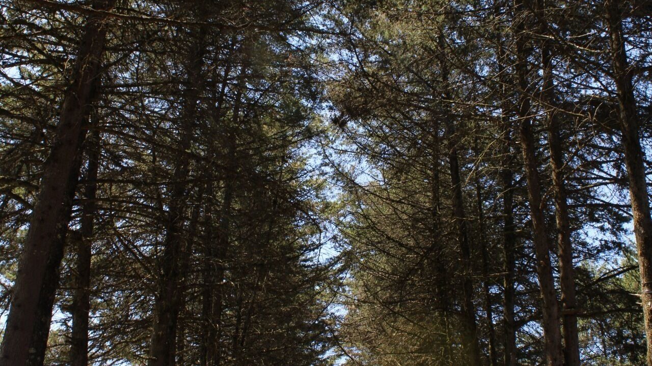 Photo of Outdoor in Zacatlan