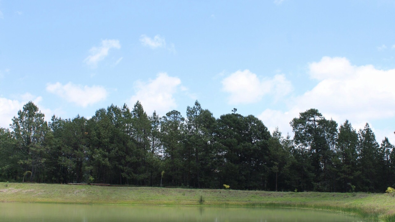 Photo of Outdoor in Zacatlan