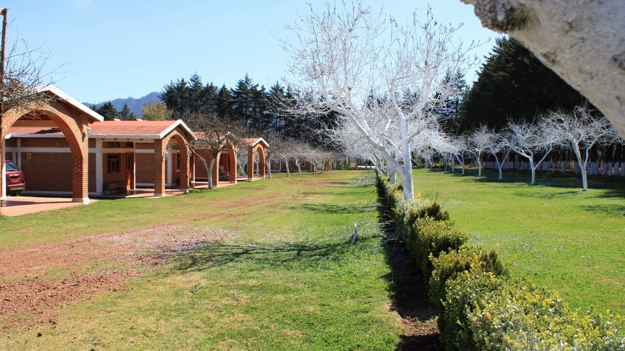 Photo of Outdoor in Zacatlan