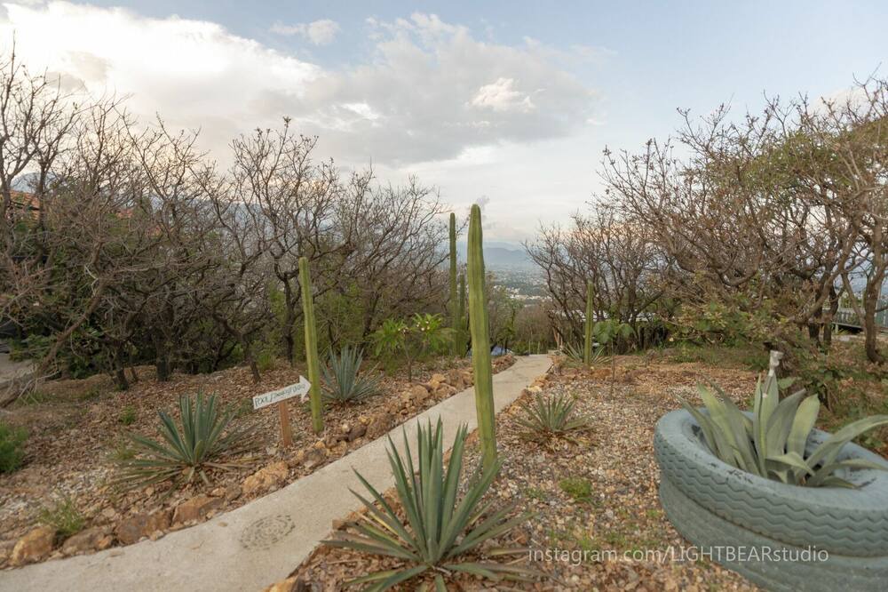 Photo of Outdoor in San Felipe