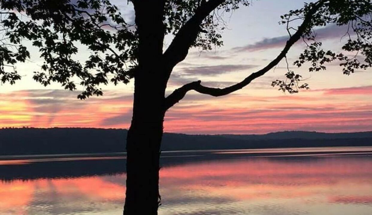 Photo of Outdoor in Algonquin Highlands