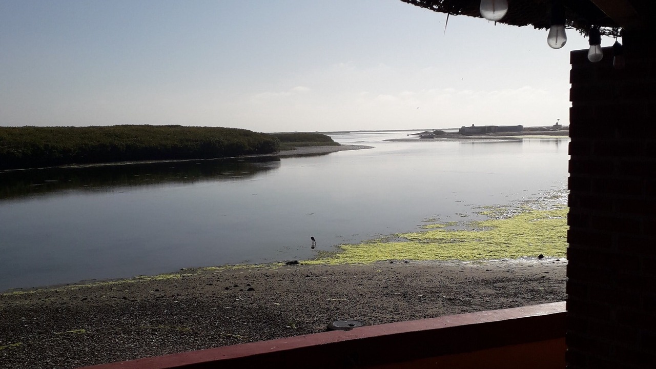 Photo of Others in Punta Abreojos
