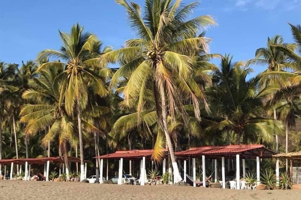 Photo of Others in Puerto Vallarta