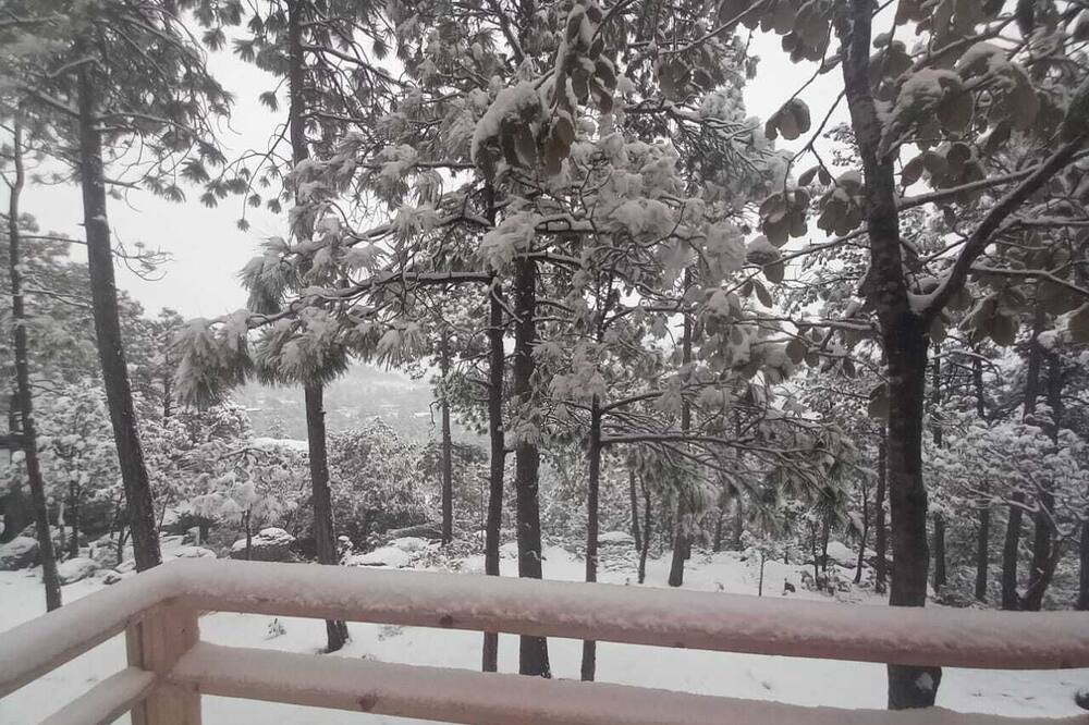 Photo of Outdoor in Creel