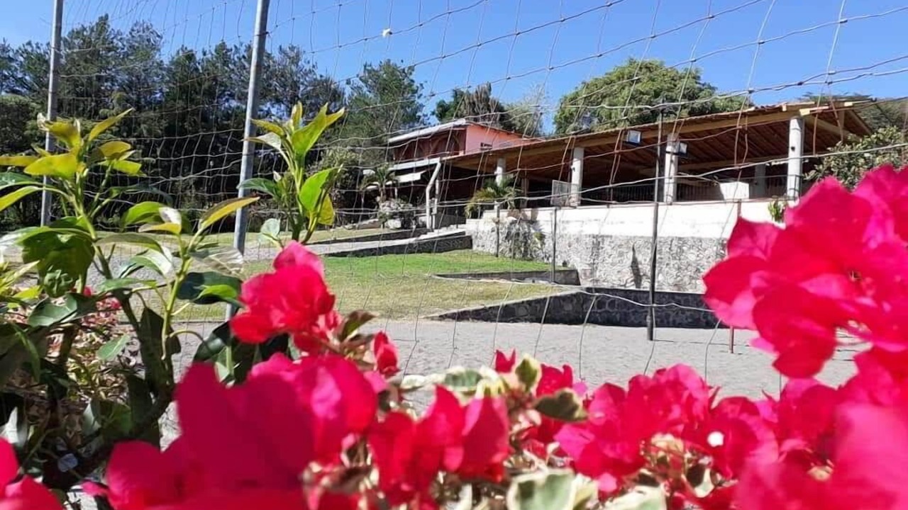 Photo of Outdoor in San Antonio