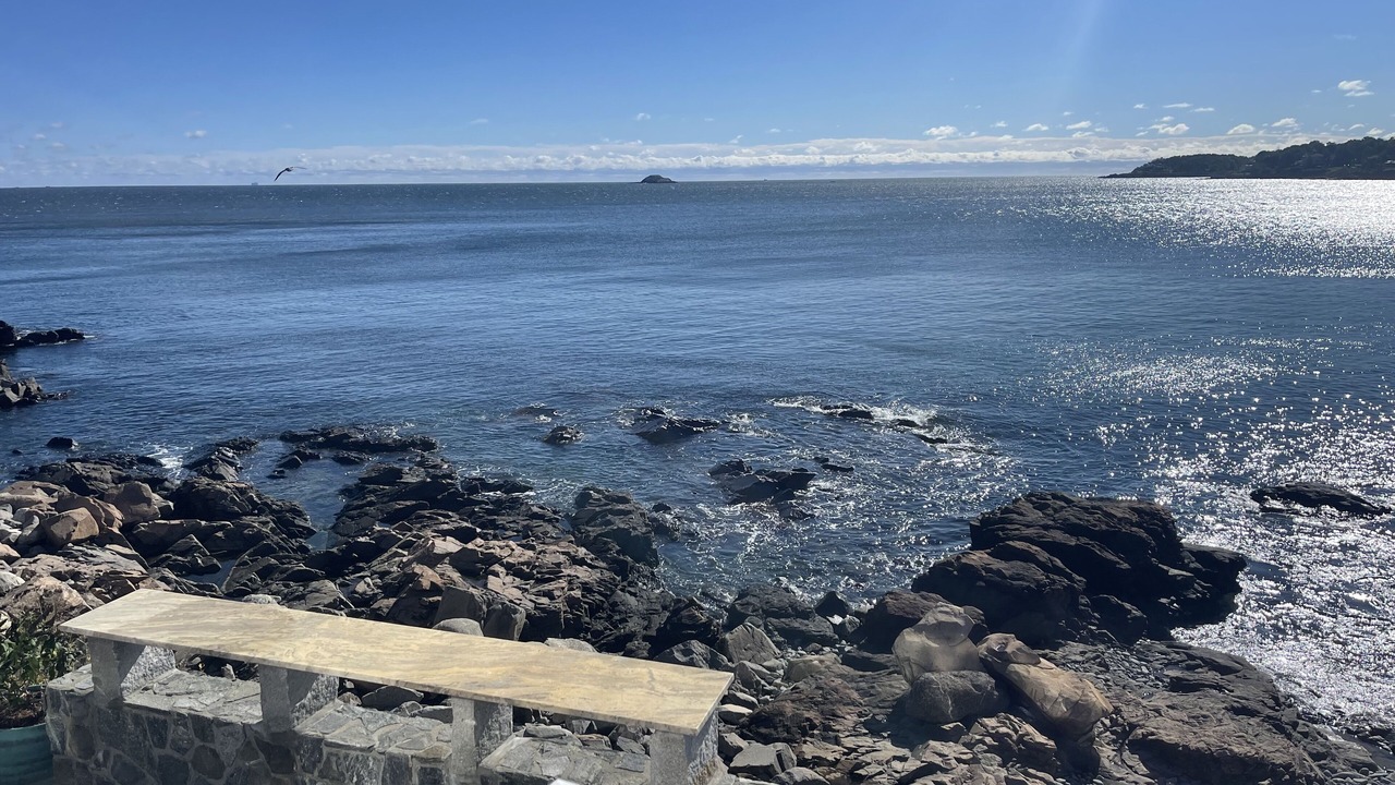Photo of Others in Little Nahant