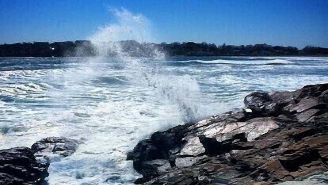 Photo of Others in Little Nahant