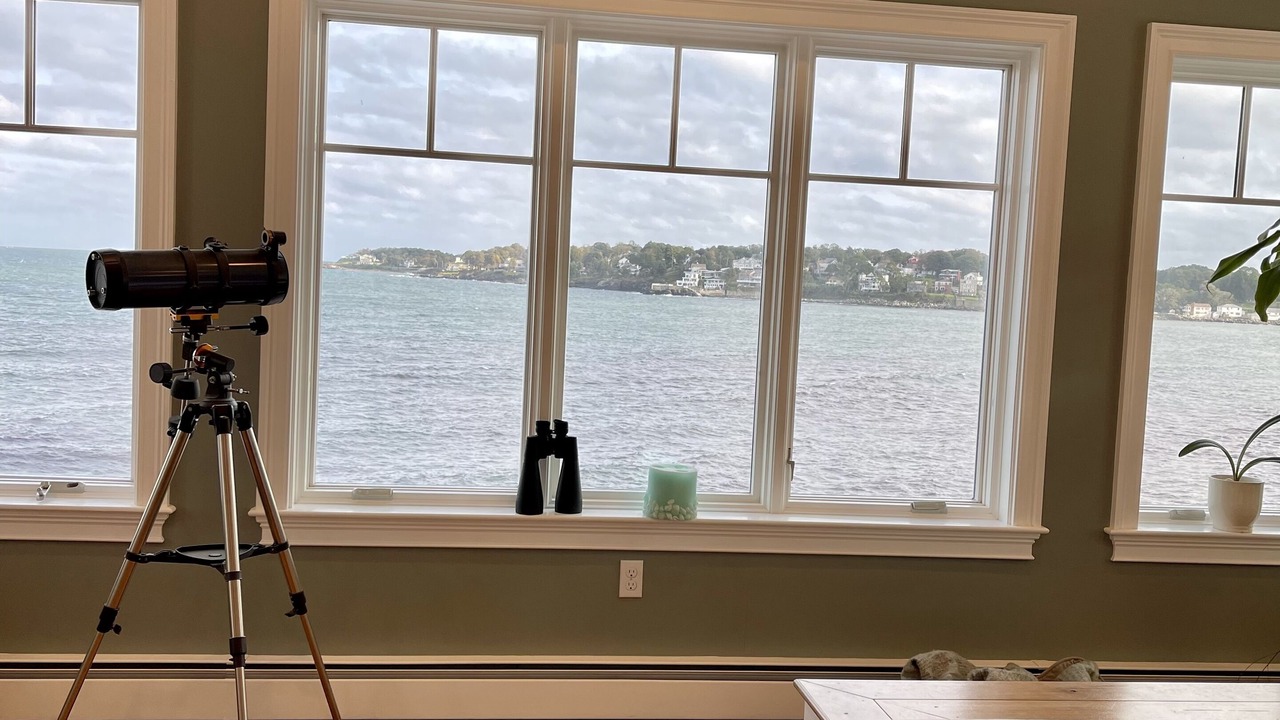 Photo of Others in Little Nahant