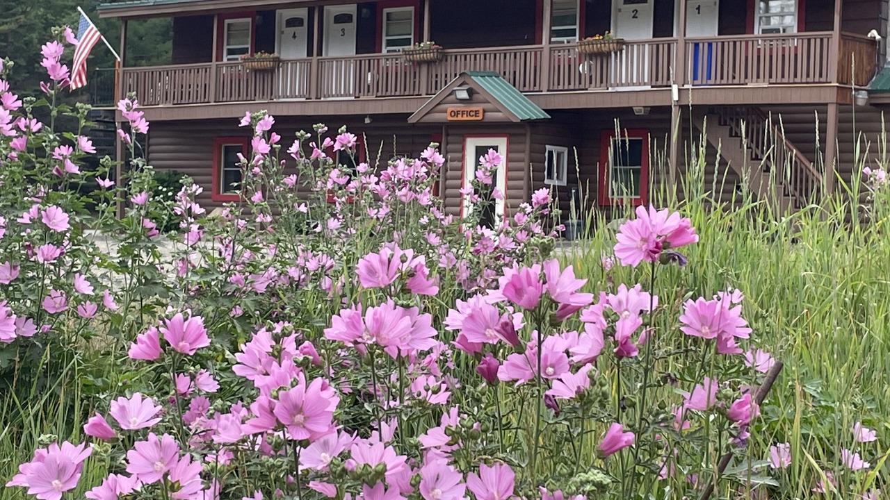 Photo of Outdoor in Stratton