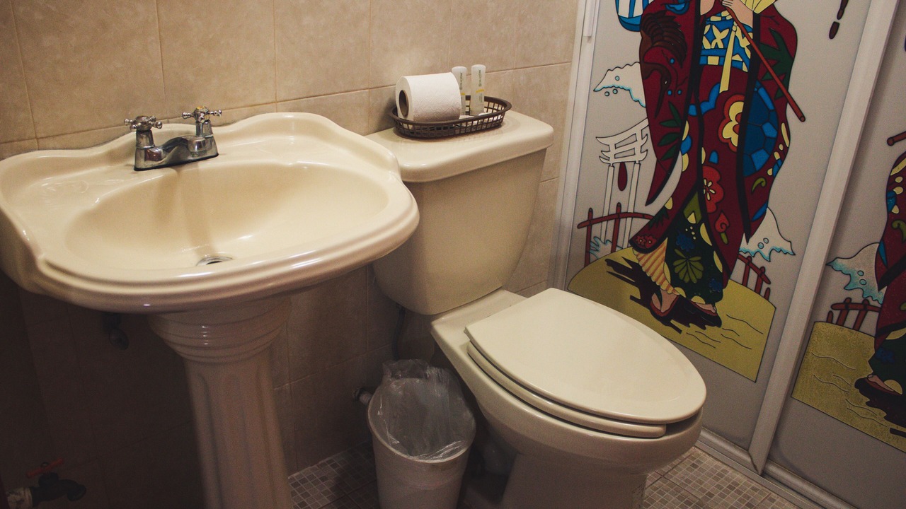 Photo of Bathroom in Valle Dorado
