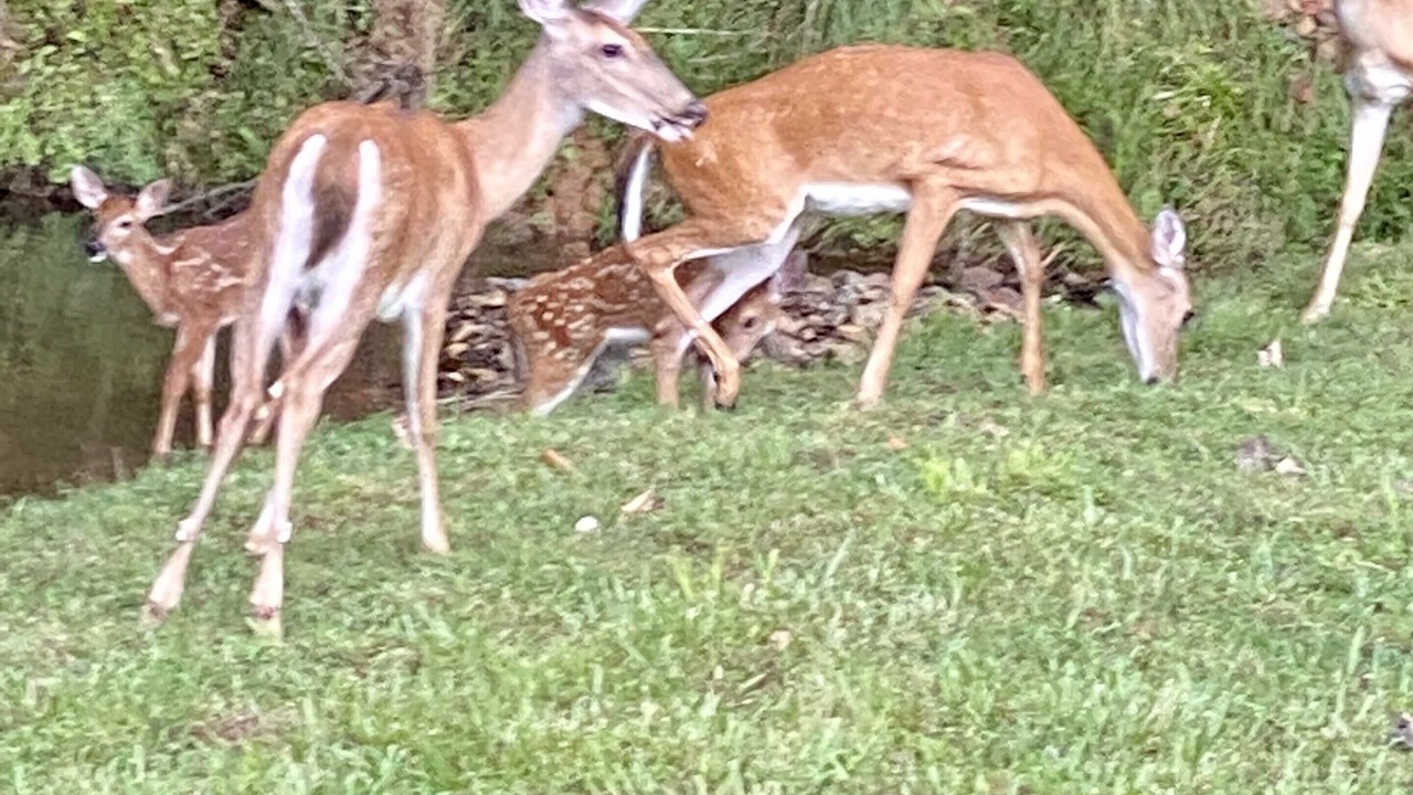 Photo of Outdoor in Eagle Mountain