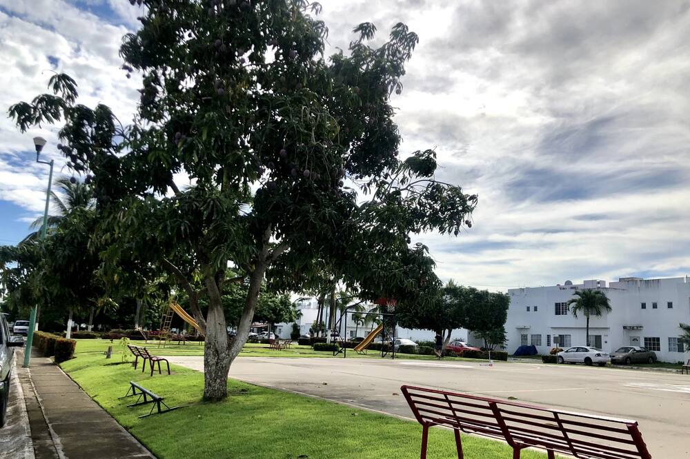 Photo of Outdoor in Mezcales