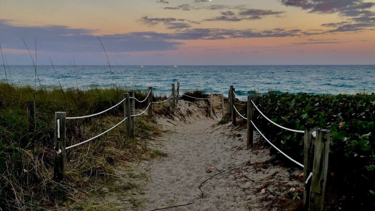 Photo of Others in Hillsboro Beach