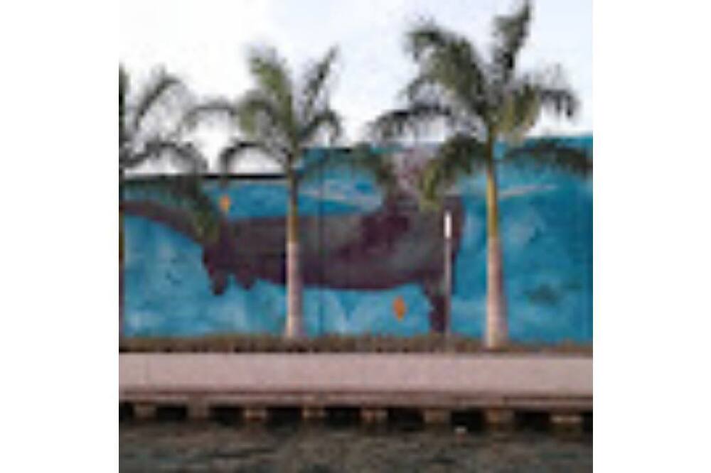 Photo of Outdoor in Ciudad Madero