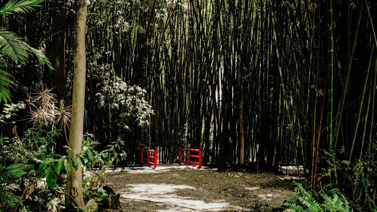 Photo of Outdoor in Jiutepec