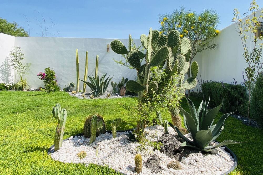 Photo of Outdoor in El Marques