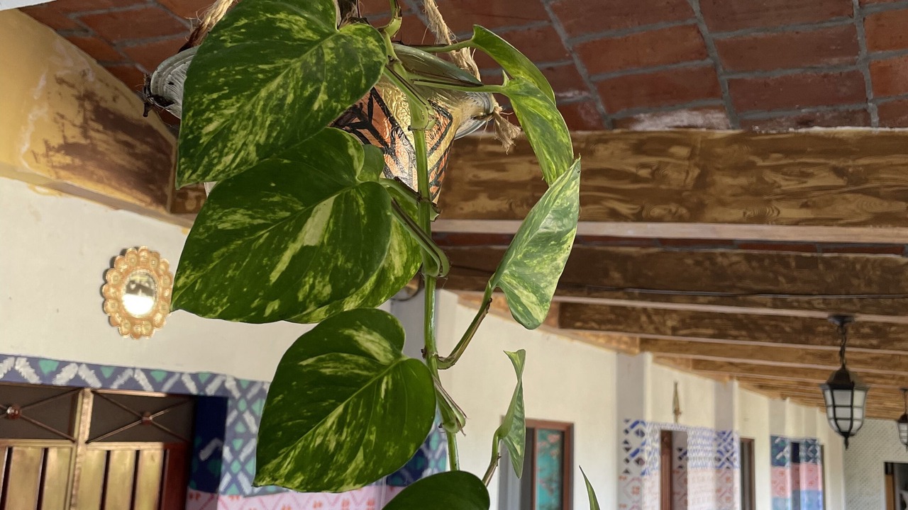 Photo of Outdoor in Teotitlan del Valle