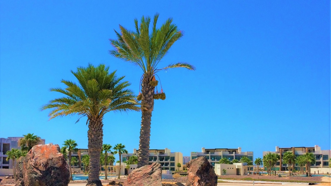 Photo of Outdoor in Puerto Penasco