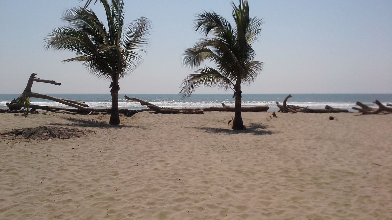 Photo of Others in Barra Vieja
