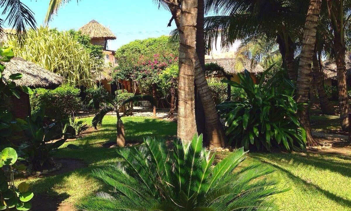 Photo of Outdoor in Barra Vieja