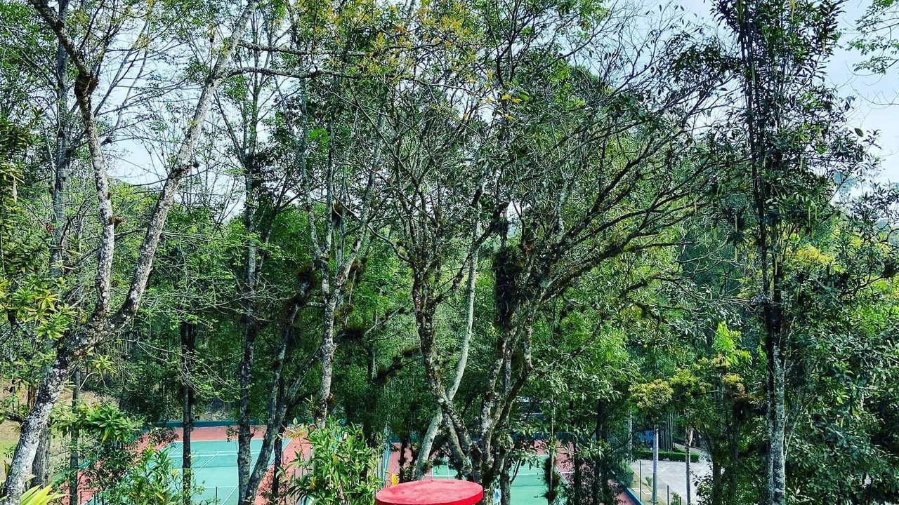 Photo of Others in Huatusco