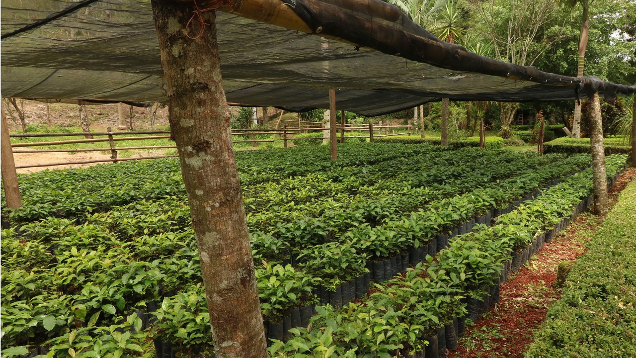 Photo of Outdoor in Huatusco