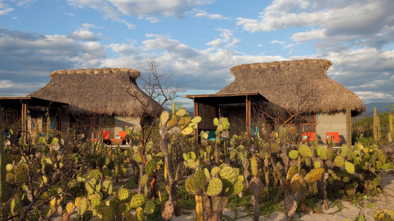 Photo of Outdoor in Puerto Escondido