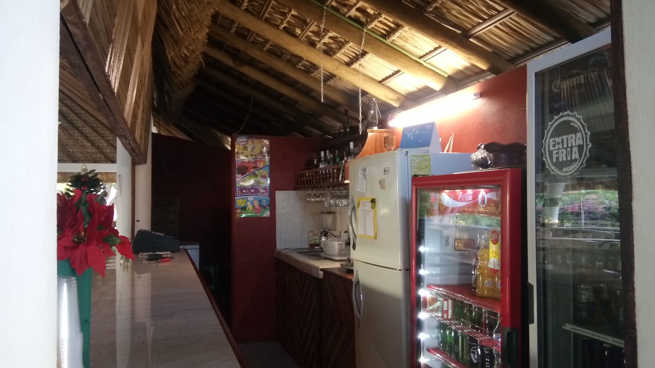 Photo of Others in Puerto Escondido