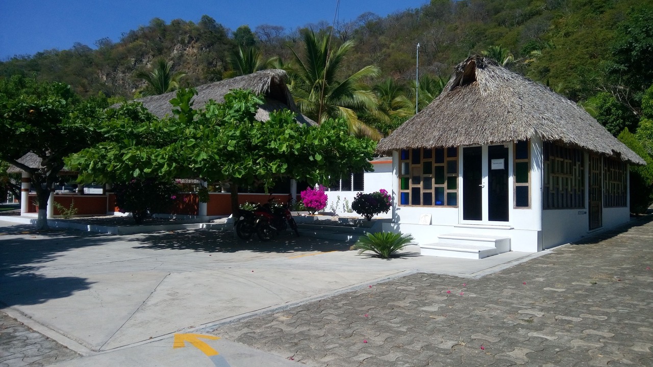 Photo of Others in Puerto Escondido
