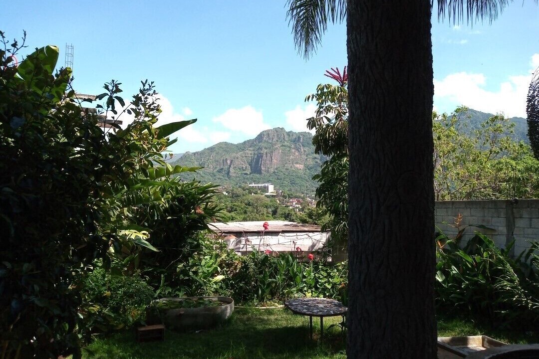 Photo of Outdoor in Santa Cecilia