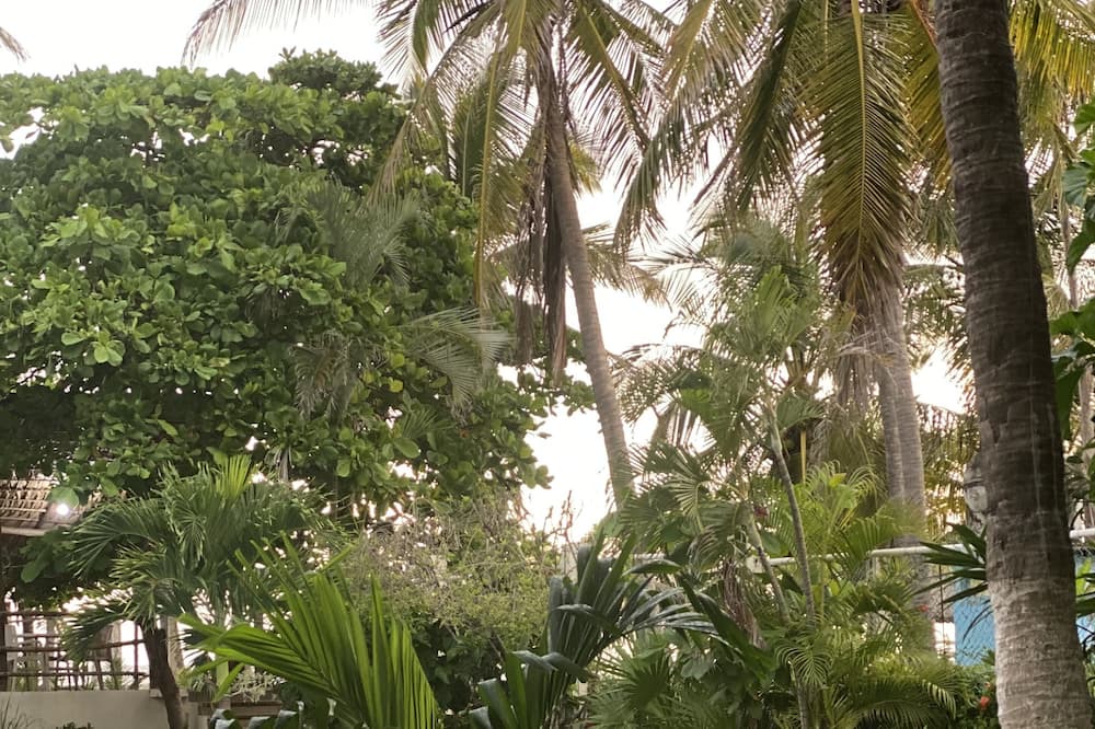 Photo of Outdoor in Puerto Arista