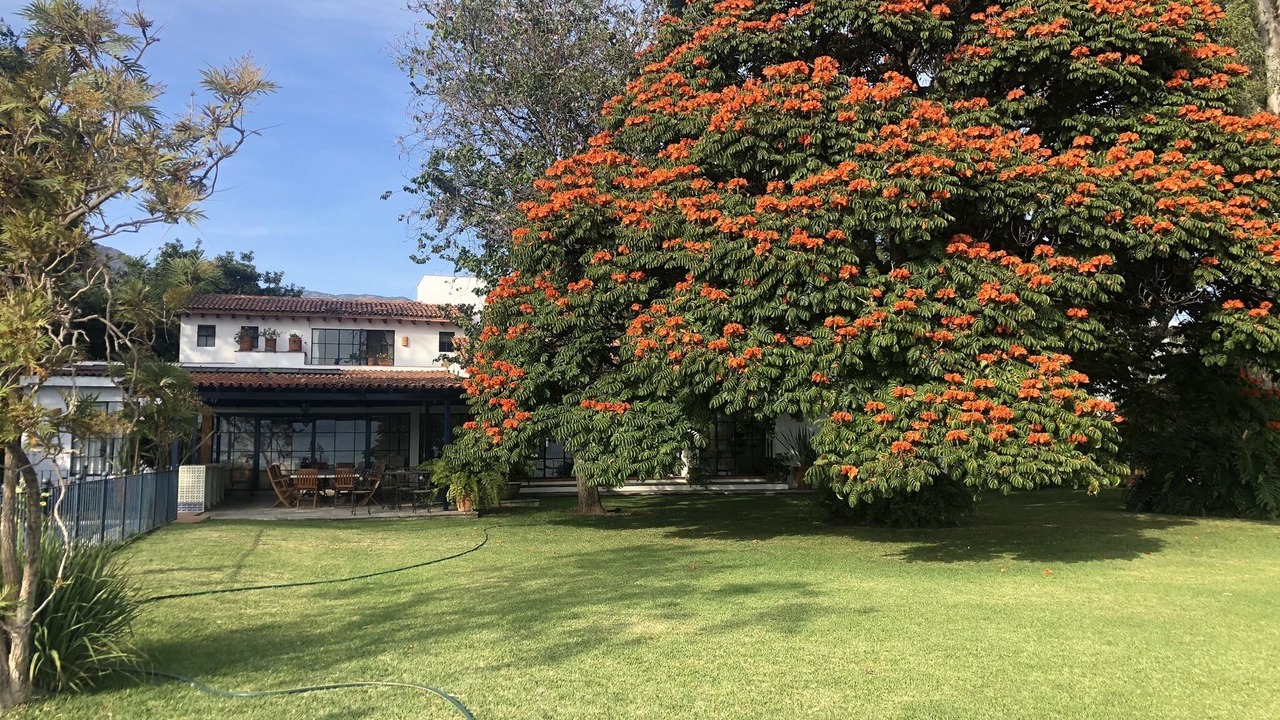 Photo of Outdoor in San Antonio Tlayacapan