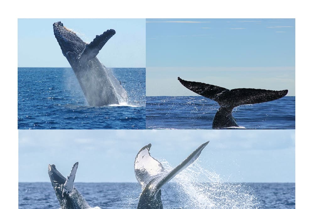 Photo of Others in Los Cabos